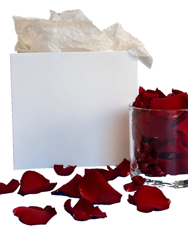 Petals Lumière