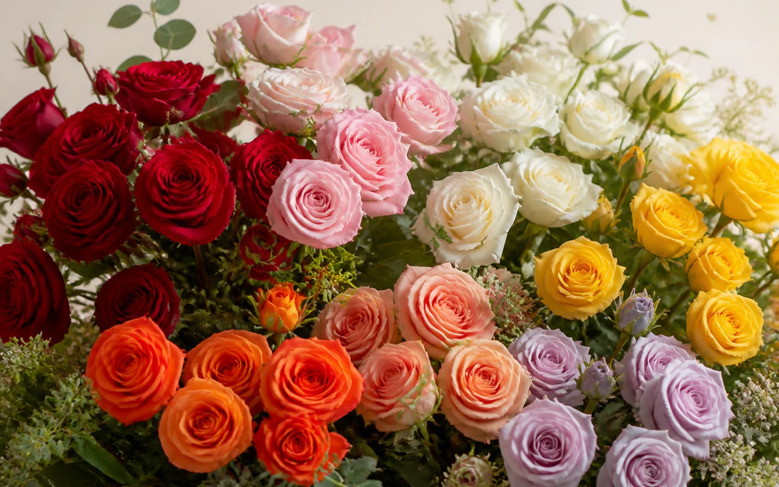 Red, pink, white, yellow, orange, peach, and lavender roses arranged as distinct color groups.